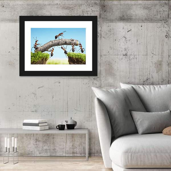 Ants Constructing Bridge Canvas Wall Art-3 Horizontal-Gallery Wrap-25" x 16"-Tiaracle