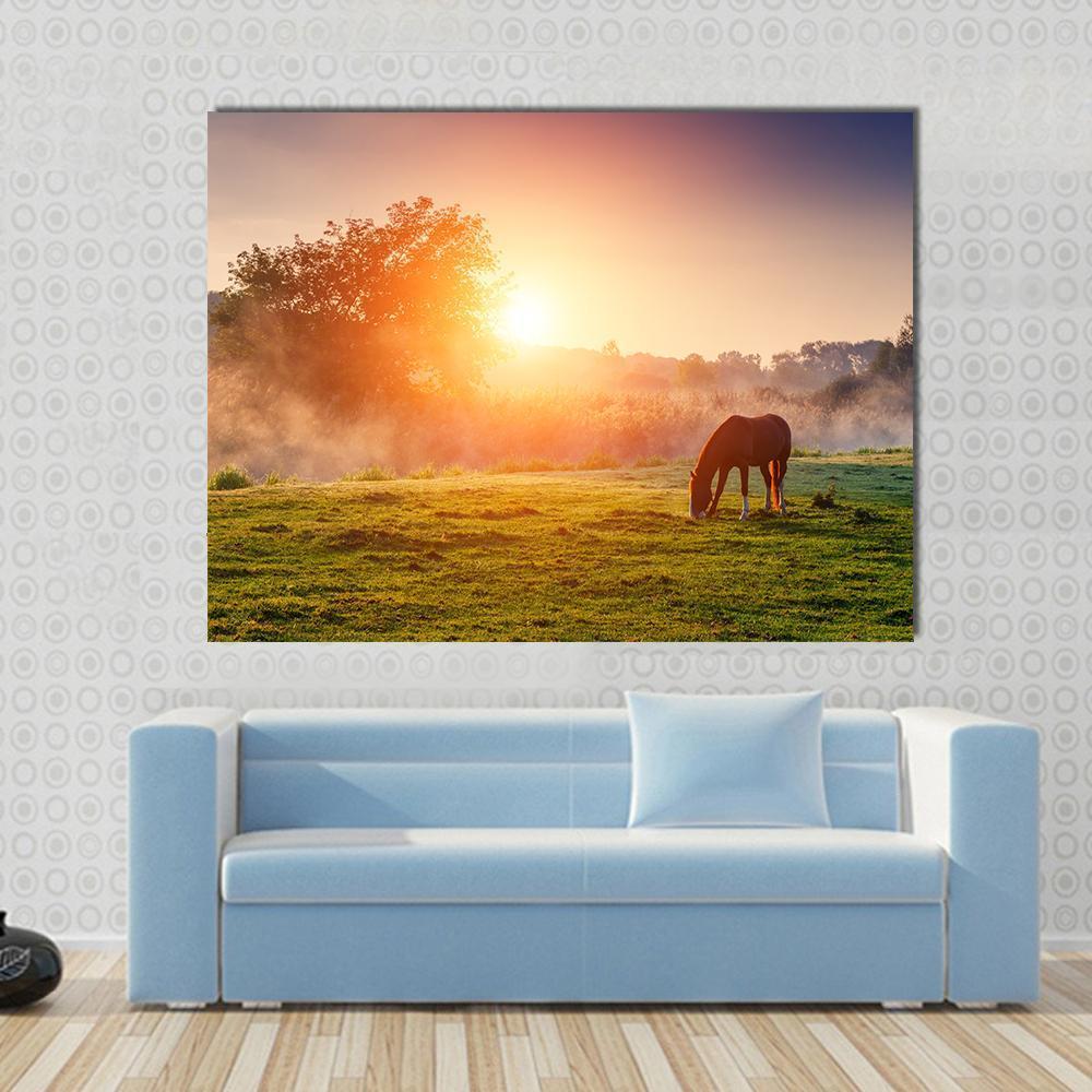 Horse Grazing On Pasture Canvas Wall Art-1 Piece-Gallery Wrap-48" x 32"-Tiaracle