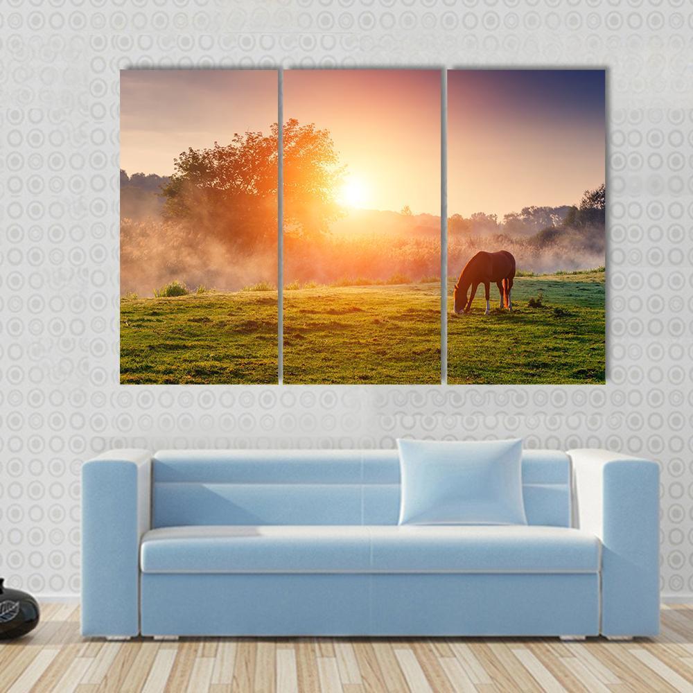 Horse Grazing On Pasture Canvas Wall Art-3 Horizontal-Gallery Wrap-37" x 24"-Tiaracle