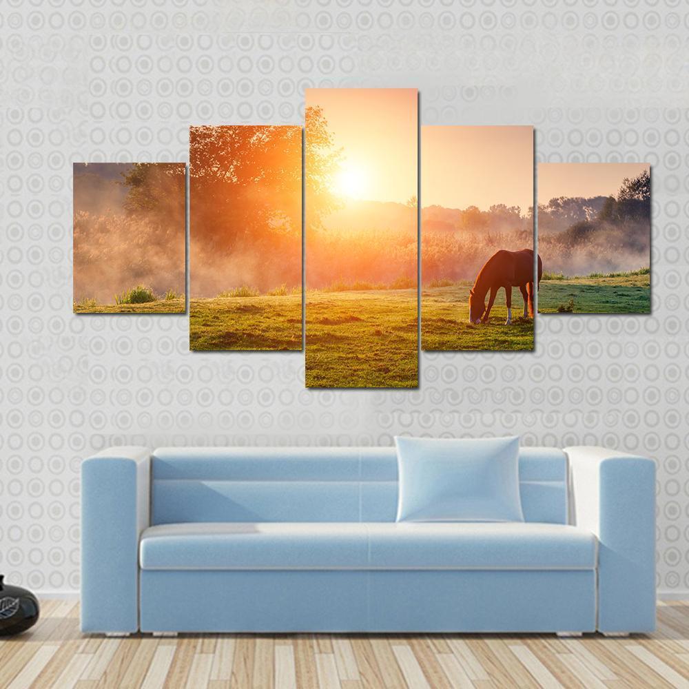 Horse Grazing On Pasture Canvas Wall Art-5 Star-Gallery Wrap-62" x 32"-Tiaracle