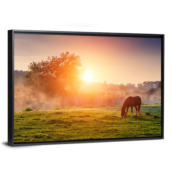 Horse Grazing On Pasture Canvas Wall Art-3 Horizontal-Gallery Wrap-25" x 16"-Tiaracle