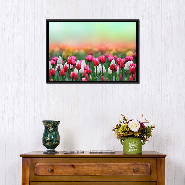 Beautiful Tulips Field Canvas Wall Art-1 Piece-Floating Frame-24" x 16"-Tiaracle