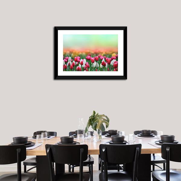 Beautiful Tulips Field Canvas Wall Art-3 Horizontal-Gallery Wrap-25" x 16"-Tiaracle