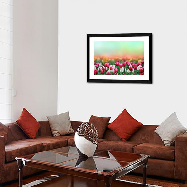 Beautiful Tulips Field Canvas Wall Art-3 Horizontal-Gallery Wrap-25" x 16"-Tiaracle