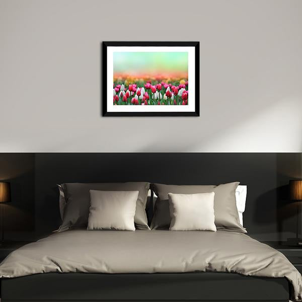 Beautiful Tulips Field Canvas Wall Art-3 Horizontal-Gallery Wrap-25" x 16"-Tiaracle