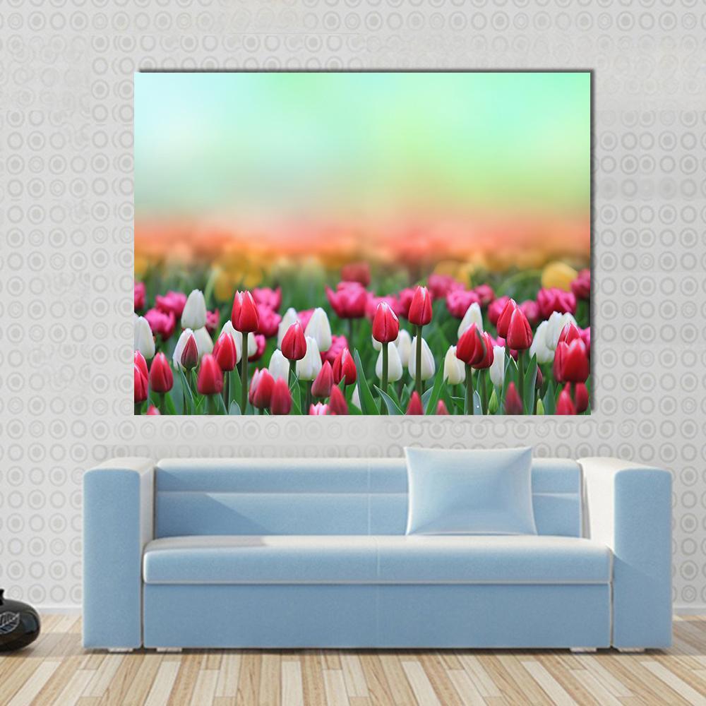 Beautiful Tulips Field Canvas Wall Art-1 Piece-Gallery Wrap-48" x 32"-Tiaracle