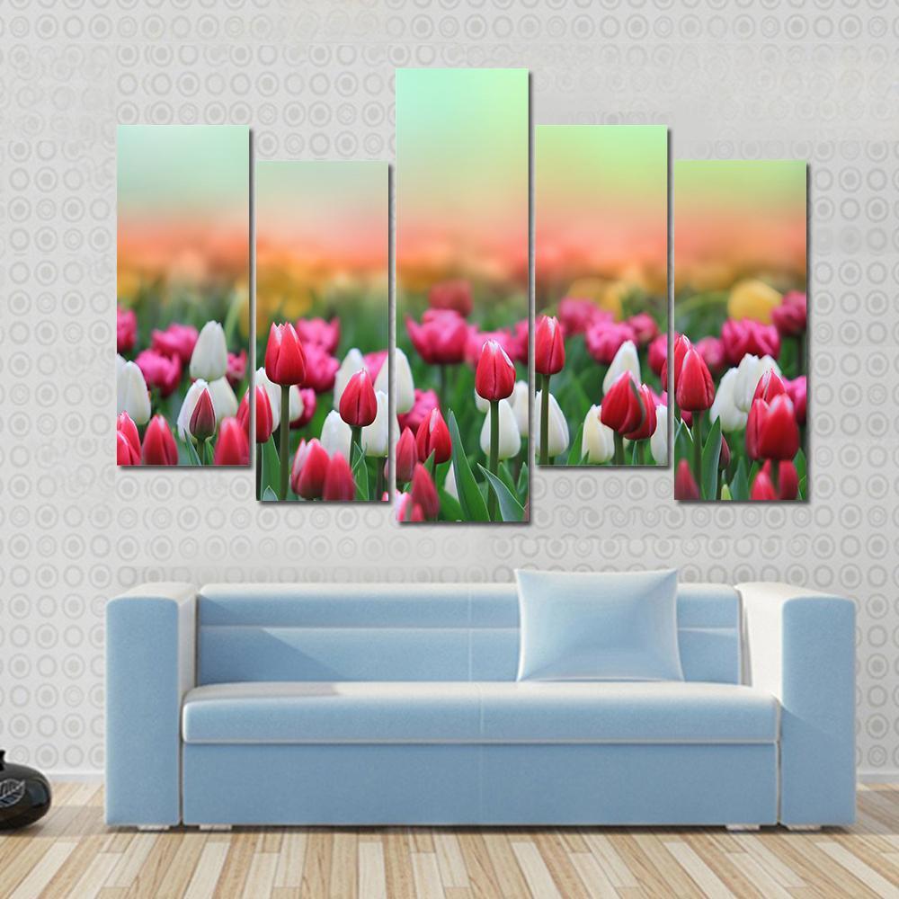 Beautiful Tulips Field Canvas Wall Art-5 Pop-Gallery Wrap-47" x 32"-Tiaracle