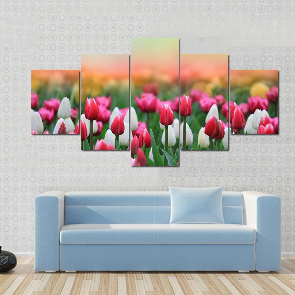 Beautiful Tulips Field Canvas Wall Art-5 Star-Gallery Wrap-62" x 32"-Tiaracle