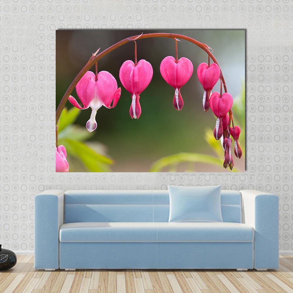 Bleeding Heart Flowers Canvas Wall Art-1 Piece-Gallery Wrap-48" x 32"-Tiaracle