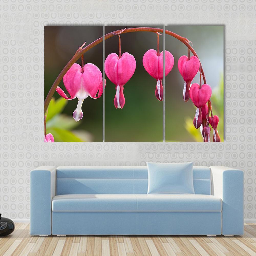 Bleeding Heart Flowers Canvas Wall Art-3 Horizontal-Gallery Wrap-37" x 24"-Tiaracle