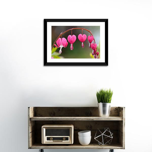 Bleeding Heart Flowers Canvas Wall Art-1 Piece-Framed Print-20" x 16"-Tiaracle