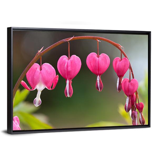 Bleeding Heart Flowers Canvas Wall Art-3 Horizontal-Gallery Wrap-25" x 16"-Tiaracle