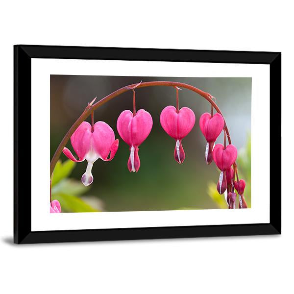 Bleeding Heart Flowers Canvas Wall Art-3 Horizontal-Gallery Wrap-25" x 16"-Tiaracle