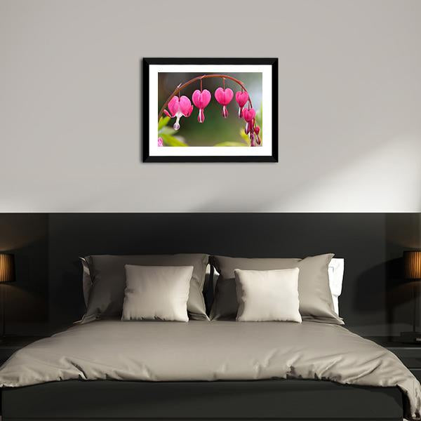 Bleeding Heart Flowers Canvas Wall Art-3 Horizontal-Gallery Wrap-25" x 16"-Tiaracle