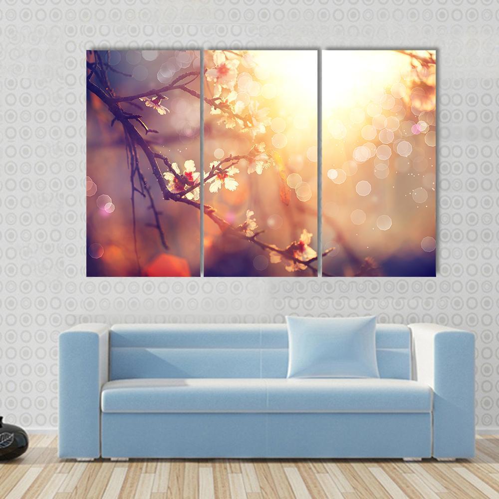 Blooming Tree With Sunlight Canvas Wall Art-3 Horizontal-Gallery Wrap-37" x 24"-Tiaracle