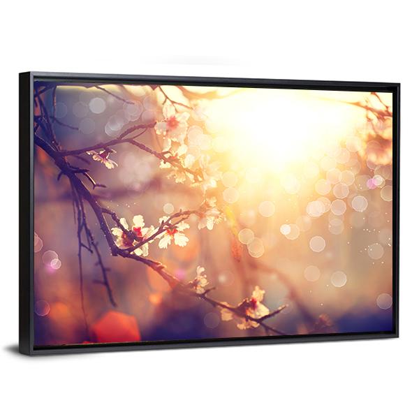 Blooming Tree With Sunlight Canvas Wall Art-3 Horizontal-Gallery Wrap-25" x 16"-Tiaracle