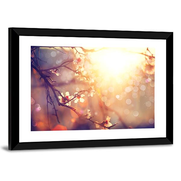 Blooming Tree With Sunlight Canvas Wall Art-3 Horizontal-Gallery Wrap-25" x 16"-Tiaracle