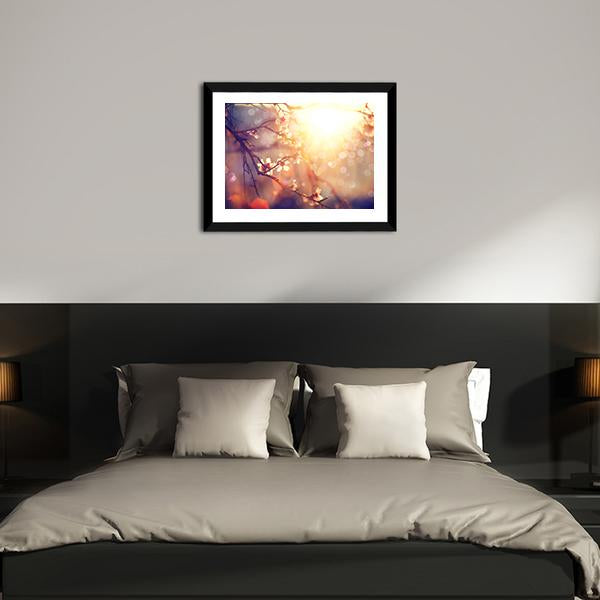 Blooming Tree With Sunlight Canvas Wall Art-3 Horizontal-Gallery Wrap-25" x 16"-Tiaracle