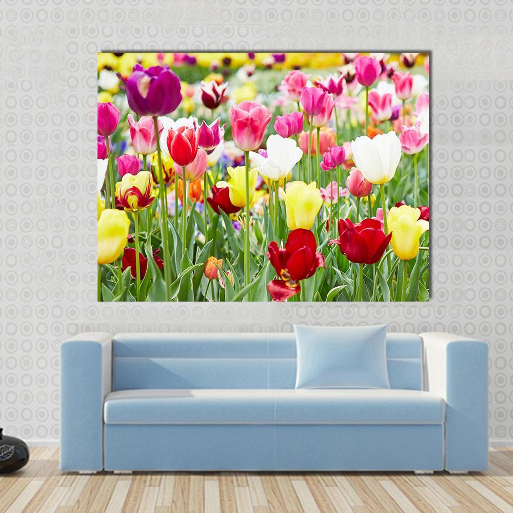 Blooming Tulips Canvas Wall Art-1 Piece-Gallery Wrap-48" x 32"-Tiaracle