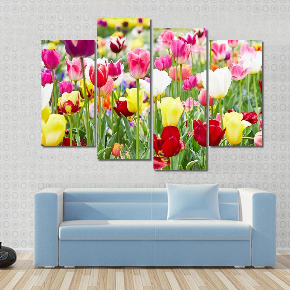 Blooming Tulips Canvas Wall Art-4 Pop-Gallery Wrap-50" x 32"-Tiaracle