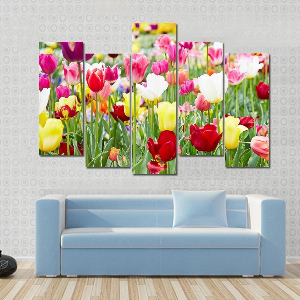 Blooming Tulips Canvas Wall Art-5 Pop-Gallery Wrap-47" x 32"-Tiaracle