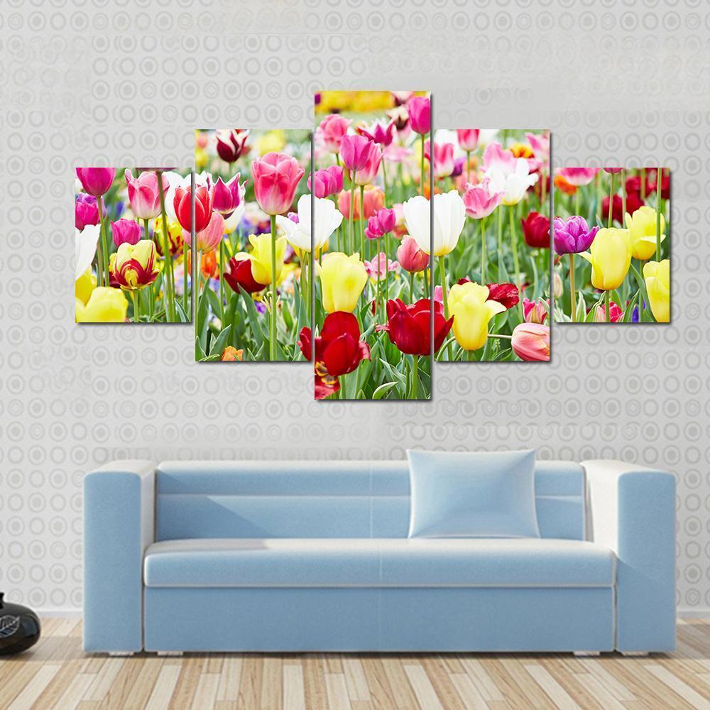 Blooming Tulips Canvas Wall Art-5 Star-Gallery Wrap-62" x 32"-Tiaracle