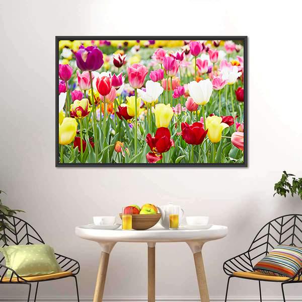 Blooming Tulips Canvas Wall Art-3 Horizontal-Gallery Wrap-25" x 16"-Tiaracle