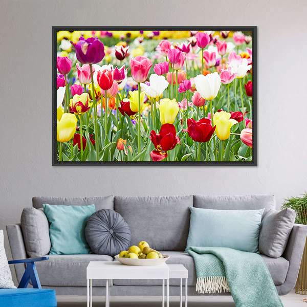 Blooming Tulips Canvas Wall Art-3 Horizontal-Gallery Wrap-25" x 16"-Tiaracle