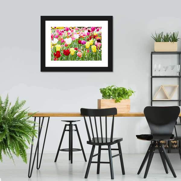 Blooming Tulips Canvas Wall Art-3 Horizontal-Gallery Wrap-25" x 16"-Tiaracle