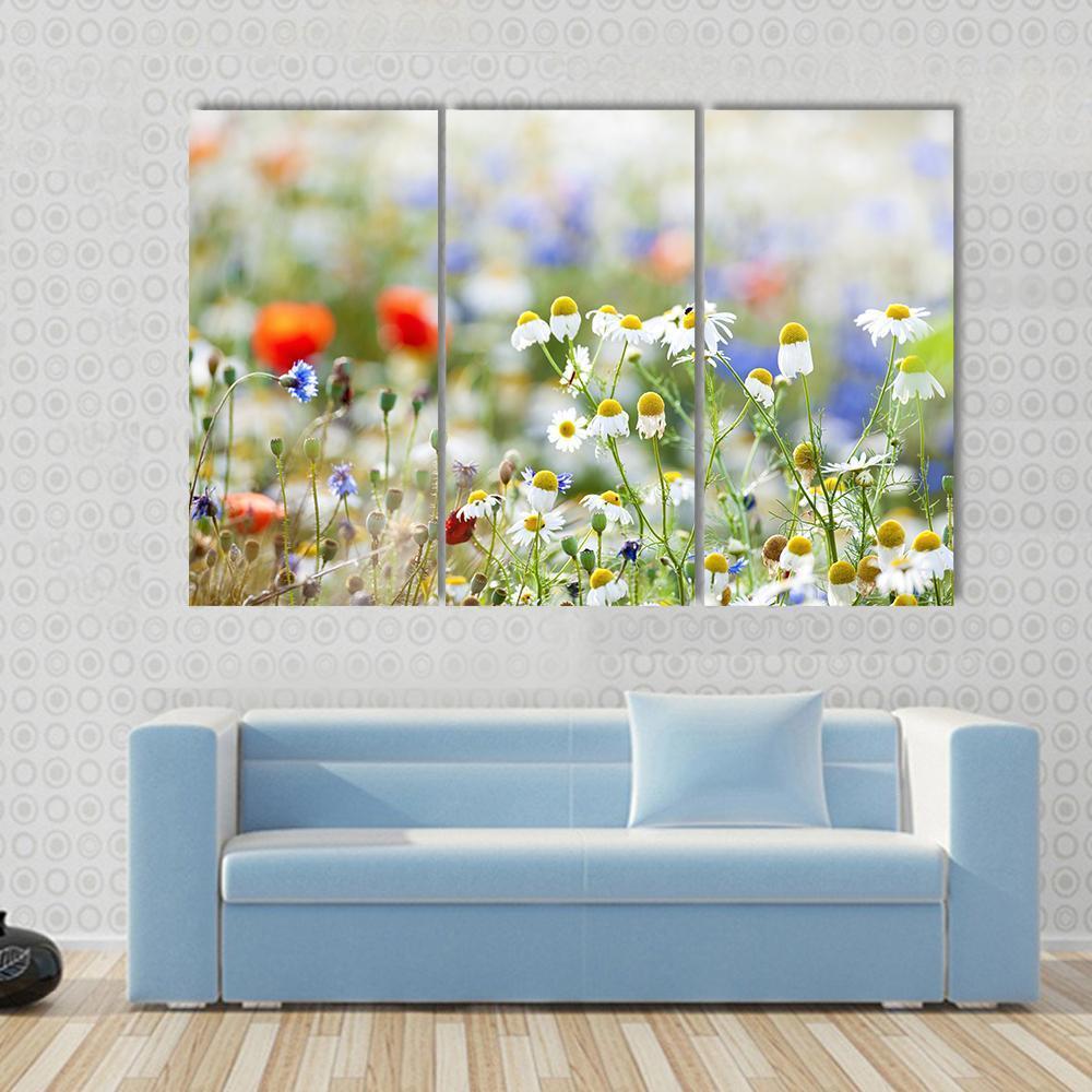 Blooming Wild Flowers Canvas Wall Art-3 Horizontal-Gallery Wrap-37" x 24"-Tiaracle