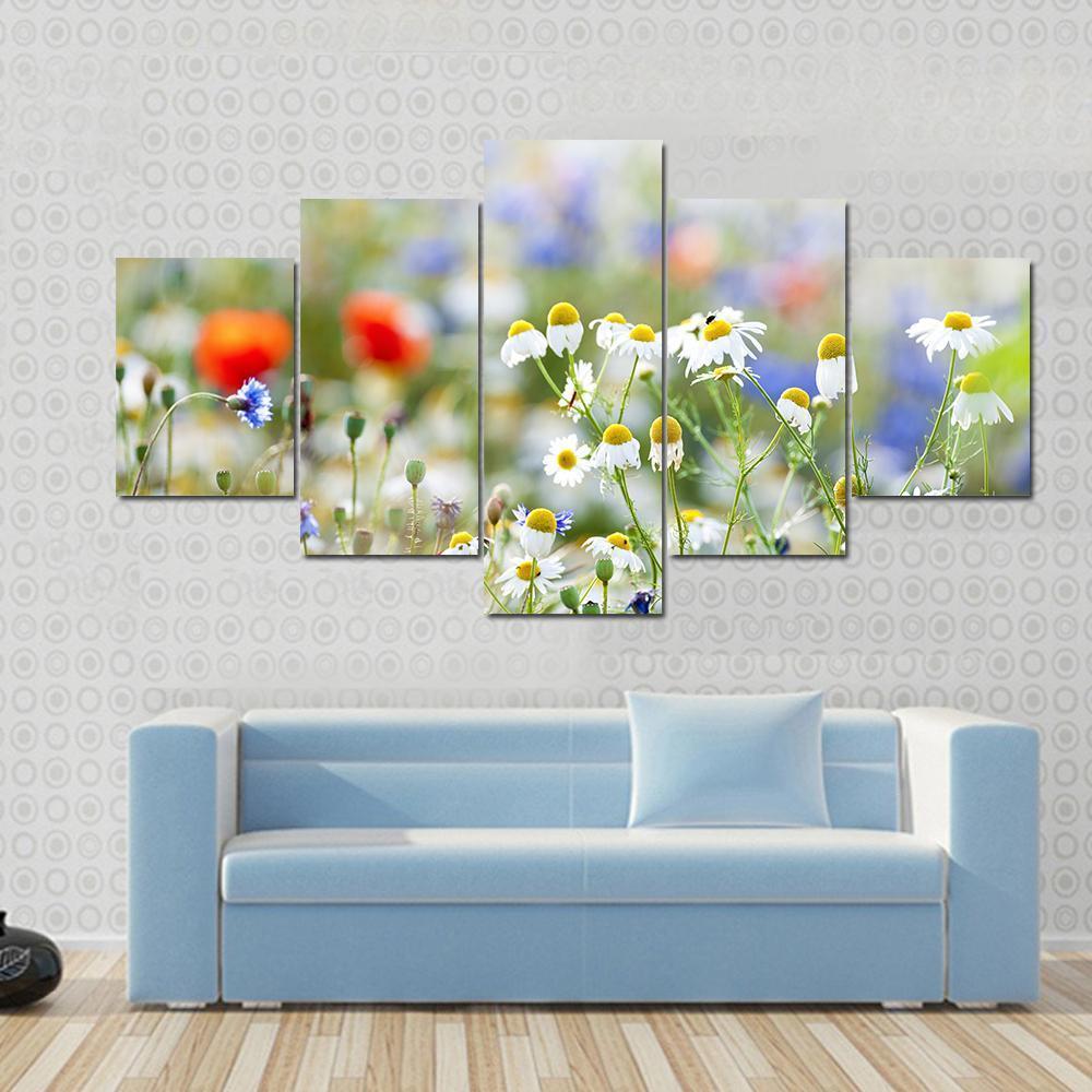 Blooming Wild Flowers Canvas Wall Art-5 Star-Gallery Wrap-62" x 32"-Tiaracle