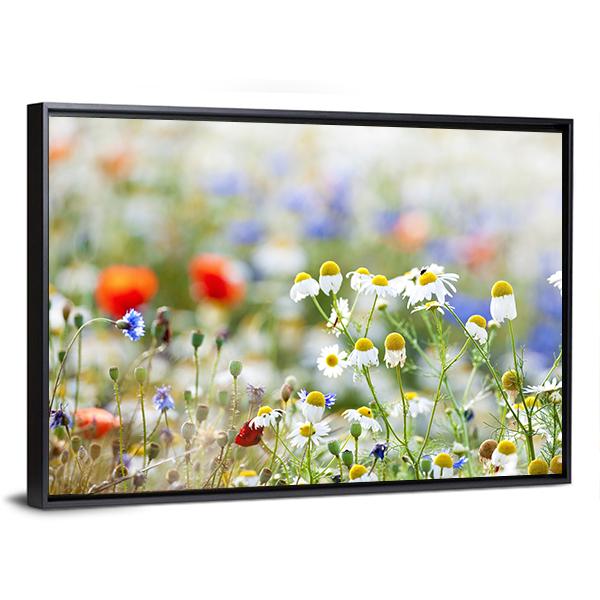 Blooming Wild Flowers Canvas Wall Art-3 Horizontal-Gallery Wrap-25" x 16"-Tiaracle