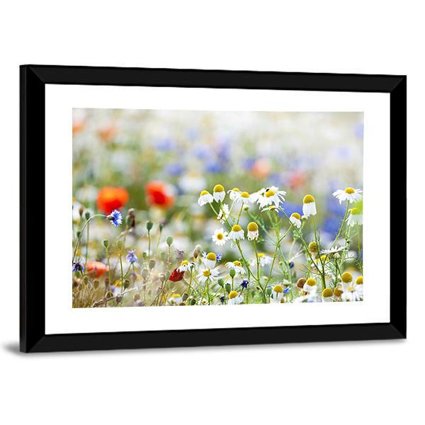 Blooming Wild Flowers Canvas Wall Art-3 Horizontal-Gallery Wrap-25" x 16"-Tiaracle