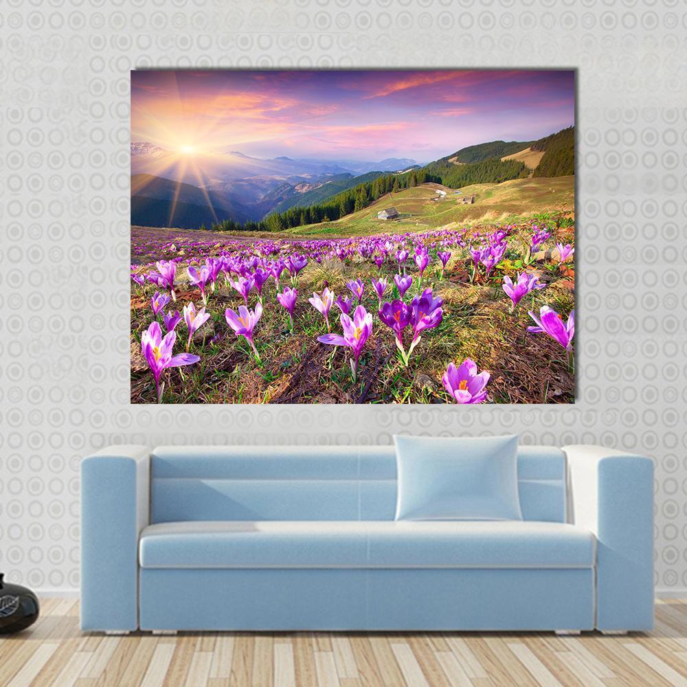 Blossom Of Crocuses Canvas Wall Art-1 Piece-Gallery Wrap-48" x 32"-Tiaracle