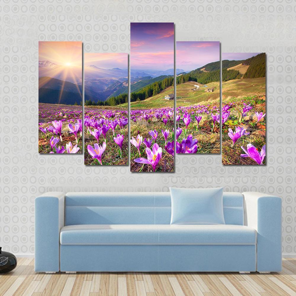 Blossom Of Crocuses Canvas Wall Art-5 Pop-Gallery Wrap-47" x 32"-Tiaracle