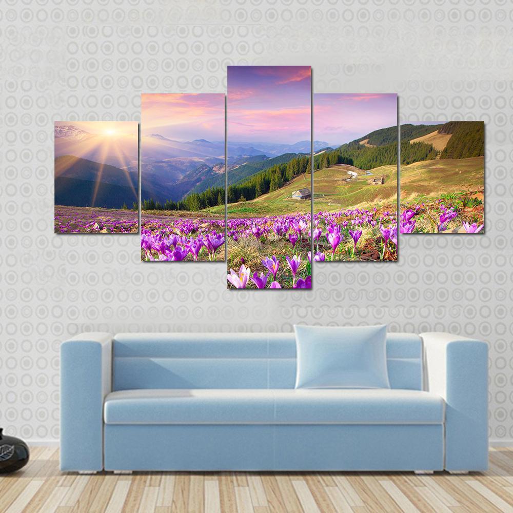 Blossom Of Crocuses Canvas Wall Art-5 Star-Gallery Wrap-62" x 32"-Tiaracle