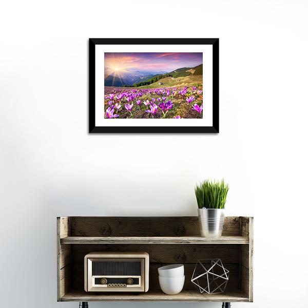 Blossom Of Crocuses Canvas Wall Art-1 Piece-Framed Print-20" x 16"-Tiaracle