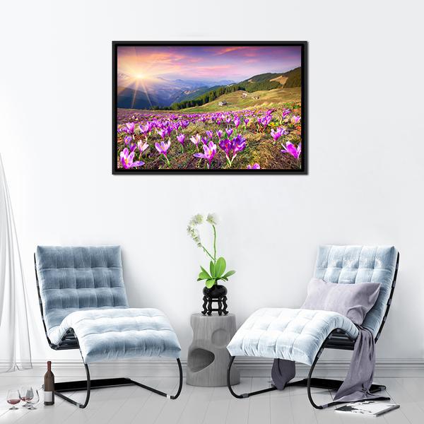 Blossom Of Crocuses Canvas Wall Art-3 Horizontal-Gallery Wrap-25" x 16"-Tiaracle