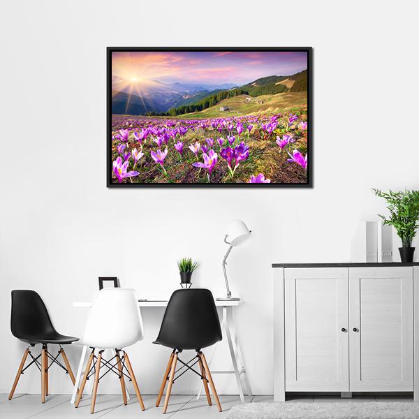 Blossom Of Crocuses Canvas Wall Art-3 Horizontal-Gallery Wrap-25" x 16"-Tiaracle