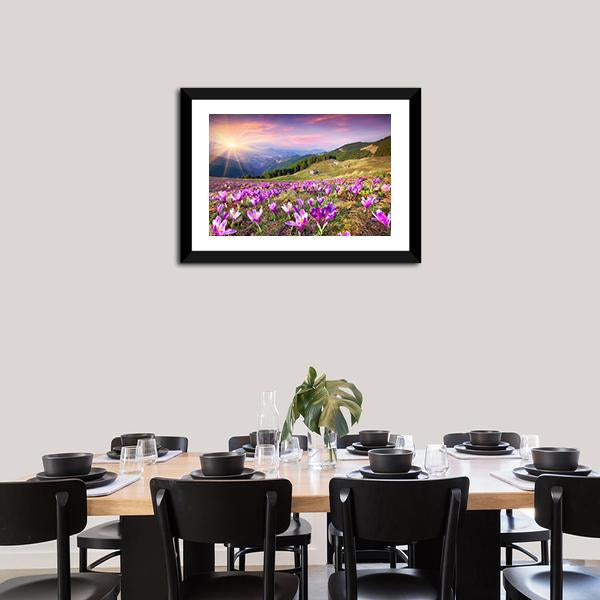 Blossom Of Crocuses Canvas Wall Art-3 Horizontal-Gallery Wrap-25" x 16"-Tiaracle