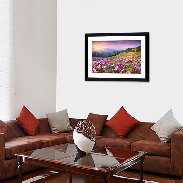 Blossom Of Crocuses Canvas Wall Art-3 Horizontal-Gallery Wrap-25" x 16"-Tiaracle