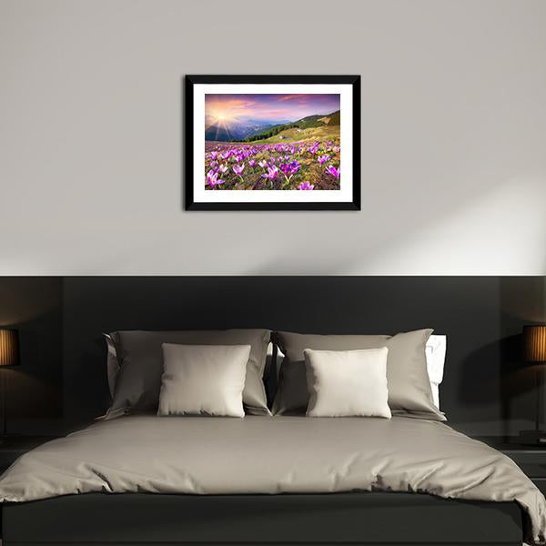 Blossom Of Crocuses Canvas Wall Art-3 Horizontal-Gallery Wrap-25" x 16"-Tiaracle