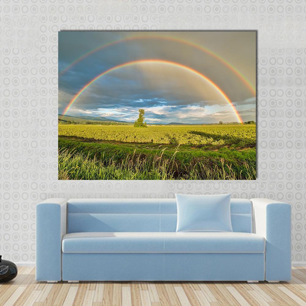 Blueberry Field Under Rainbow Canvas Wall Art-1 Piece-Gallery Wrap-48" x 32"-Tiaracle