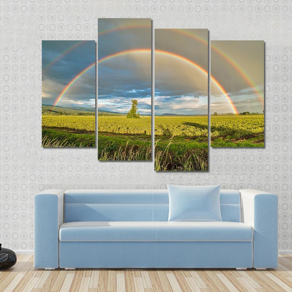 Blueberry Field Under Rainbow Canvas Wall Art-4 Pop-Gallery Wrap-50" x 32"-Tiaracle