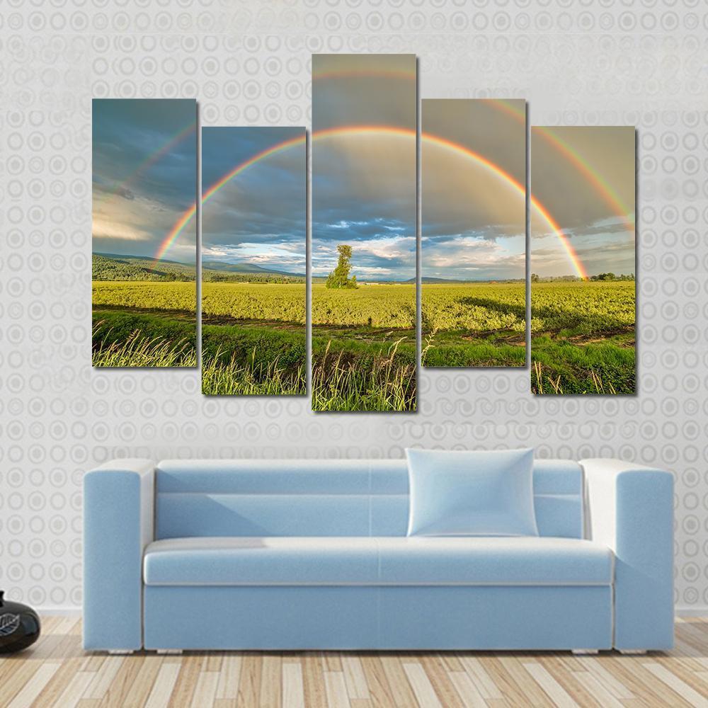 Blueberry Field Under Rainbow Canvas Wall Art-5 Pop-Gallery Wrap-47" x 32"-Tiaracle