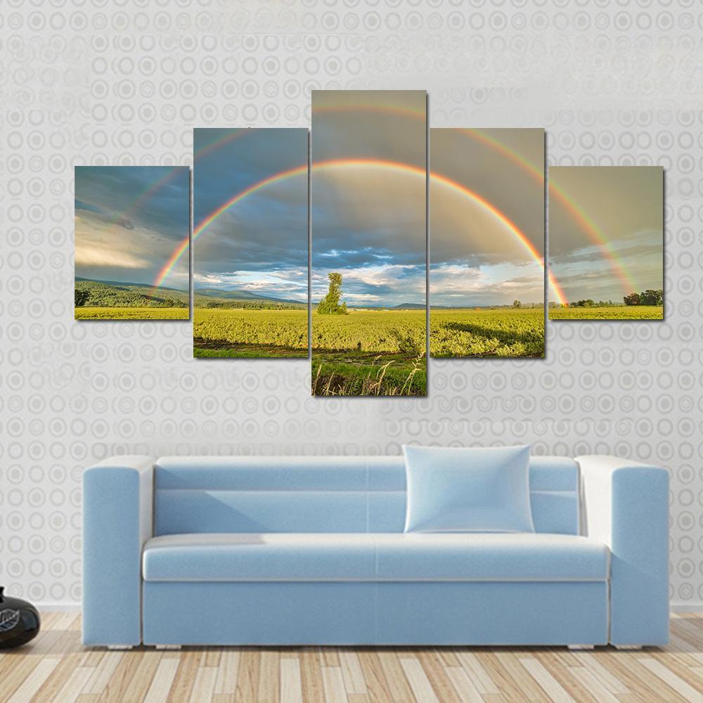 Blueberry Field Under Rainbow Canvas Wall Art-5 Star-Gallery Wrap-62" x 32"-Tiaracle