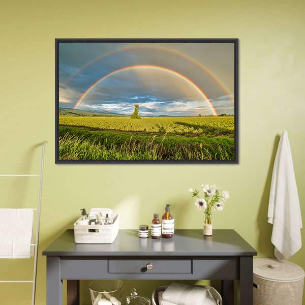 Blueberry Field Under Rainbow Canvas Wall Art-1 Piece-Floating Frame-24" x 16"-Tiaracle