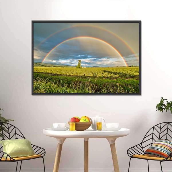 Blueberry Field Under Rainbow Canvas Wall Art-3 Horizontal-Gallery Wrap-25" x 16"-Tiaracle