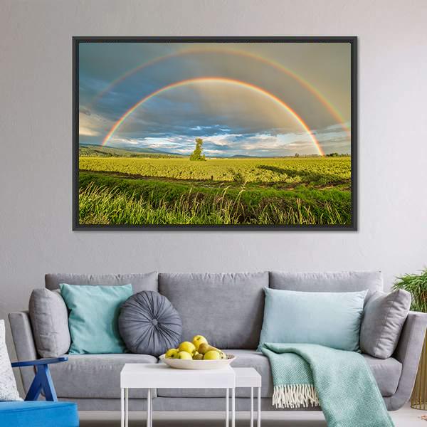 Blueberry Field Under Rainbow Canvas Wall Art-3 Horizontal-Gallery Wrap-25" x 16"-Tiaracle