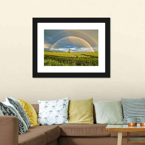 Blueberry Field Under Rainbow Canvas Wall Art-3 Horizontal-Gallery Wrap-25" x 16"-Tiaracle